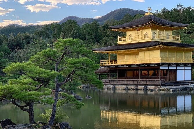 Guided Kyoto City Cherry Blossom One Day Private Tour - Stop 1: Arashiyama Bamboo Grove for iconic Kyoto at human pace