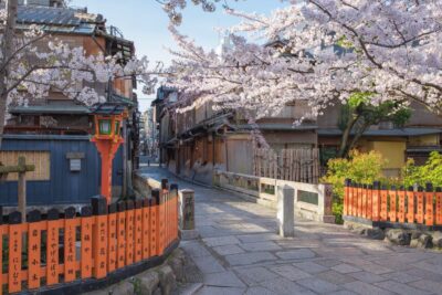 Higashiyama | Kyoto: Sakura Season Private Rickshaw Tour - Private Rickshaw Comfort: Capacity, Width, and Seating Reality