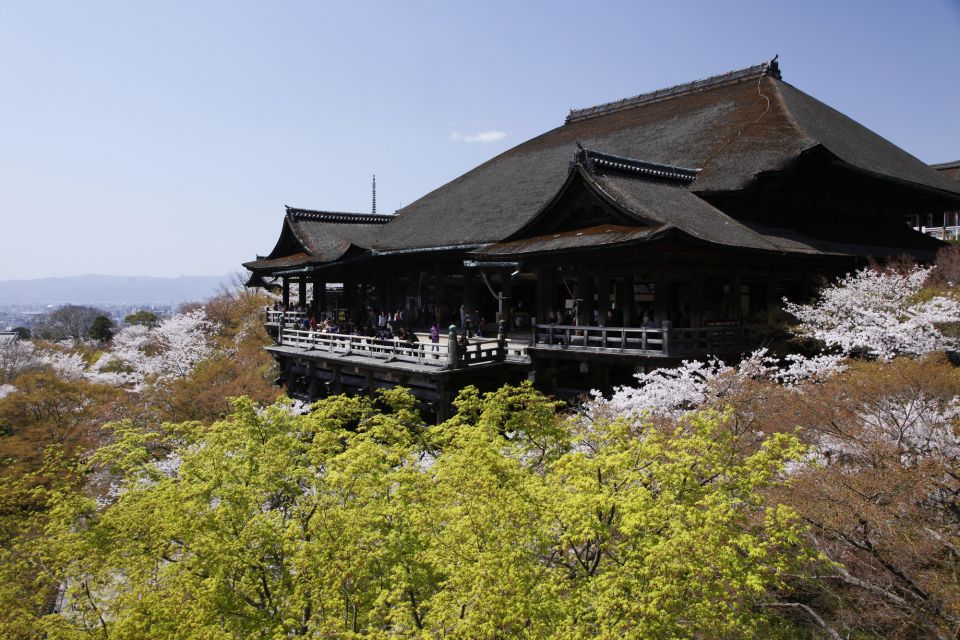 Higashiyama | Kyoto: Sakura Season Private Rickshaw Tour - Kiyomizu-Dera Walk Option: Choosing 70 or 120 Minutes