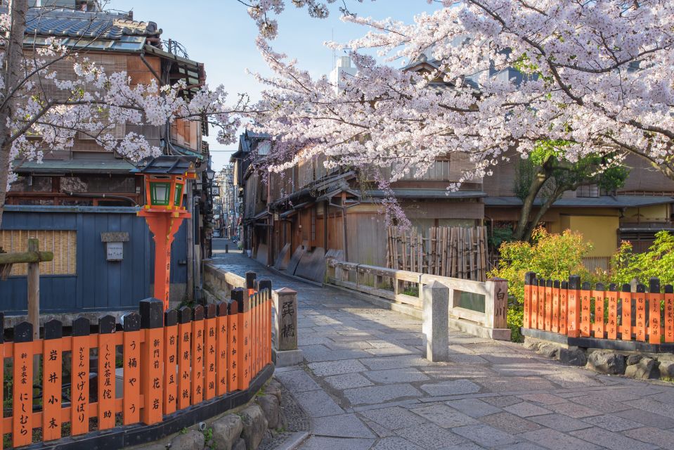 Higashiyama | Kyoto: Sakura Season Private Rickshaw Tour - Private Rickshaw Comfort: Capacity, Width, and Seating Reality