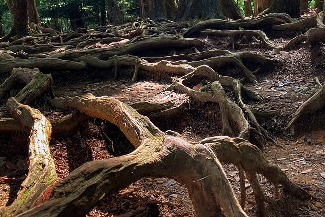 Hike and explore the Kurama and Kibune ancient Paths - Down into Kibune: swapping stairs for village calm