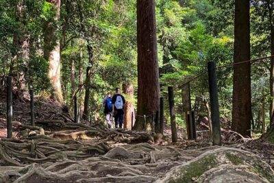Hike and explore the Kurama and Kibune ancient Paths - Kurama-dera Temple: where the hike begins with views and guardian statues