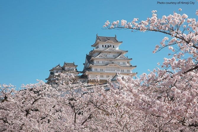 Himeji Castle and Akashi Kaikyo Bridge Walking Tour from Kyoto - Timing Reality Check: 9.5 Hours Means Trains Are Part of the Deal