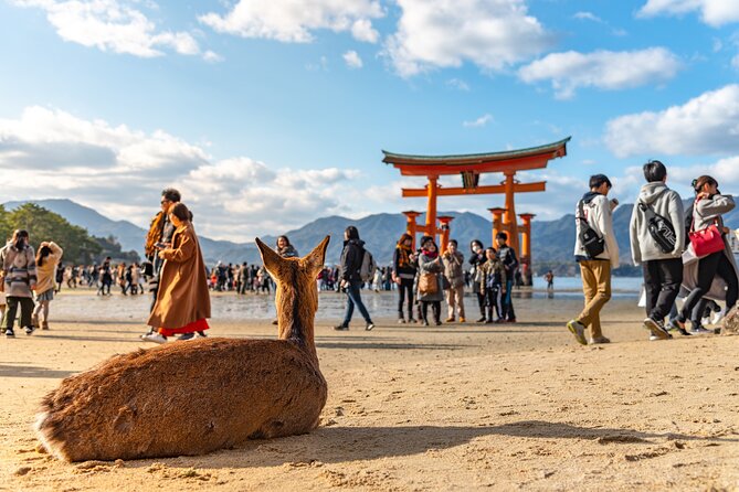 Hiroshima and Miyajima Full-Day Tour from Kyoto by Bullet Train - Miyajimaguchi to the Ferry: where the coastal scenery starts