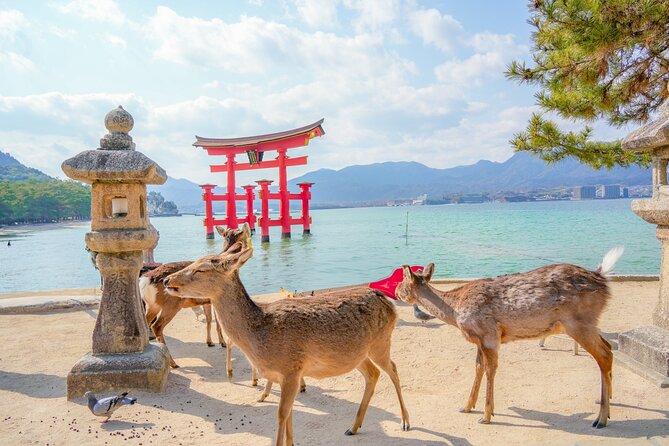 Hiroshima and Miyajima Full-Day Tour from Kyoto by Bullet Train - Who this tour is best for (and who should skip it)