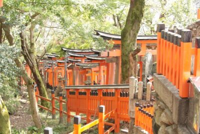 Inside of Fushimi Inari - exploring and lunch with locals - Meeting Point at the Great Torii Gate: Getting Oriented Fast