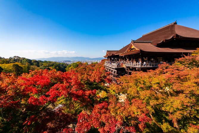 Kiyomizu Temple and Backstreets of Gion, Half Day Group Tour - Key highlights worth showing up for