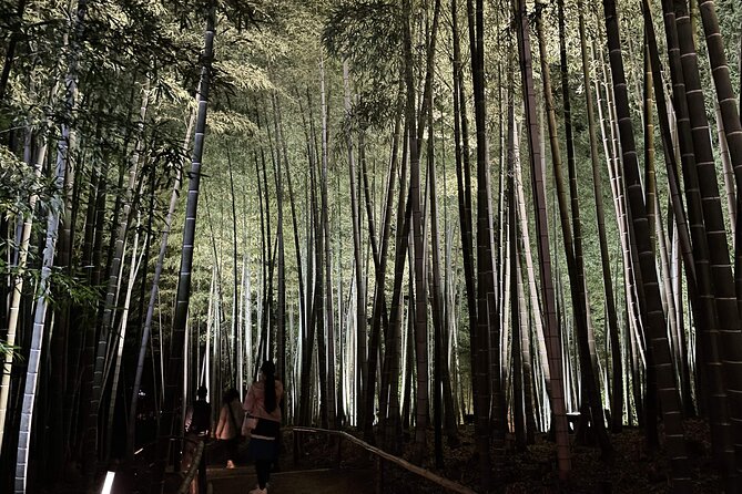 Kyoto 1 Day Golden Route Bus Tour - Kinkaku-ji Golden Pavilion in 45 Minutes: Make It Count