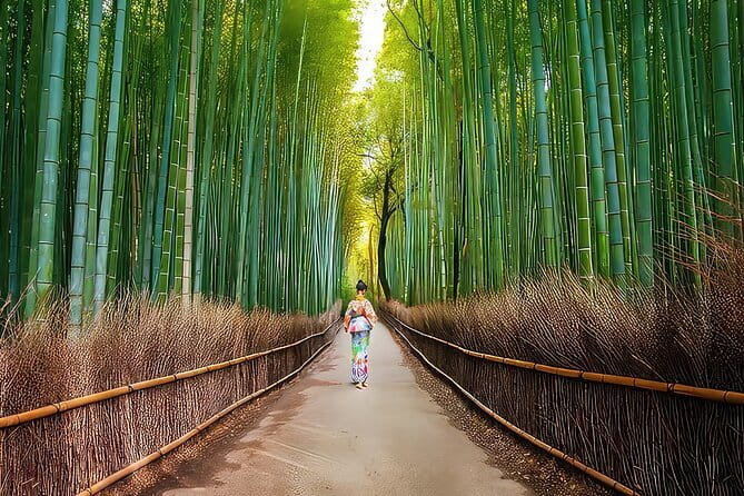 Kyoto 1 Day Suntory Yamazaki Distillery Tour and Asahi Art Museum - Price and Value: Is $163.30 Actually a Good Deal?