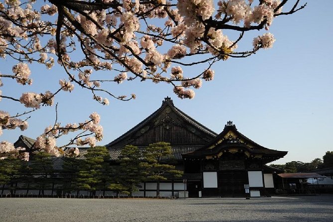 Kyoto 1 Day Tour from Kyoto - Stop 3: Kyoto Imperial Palace, or Kitano Tenmangu when it’s closed