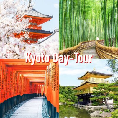 Kyoto: 10-hour Customized Private Tour - Kinkaku-ji and the Golden Temple approach