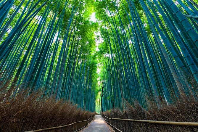 Kyoto 6hr Instagram Highlights Private Tour with Licensed Guide - Why a 6-hour private highlights tour works in Kyoto