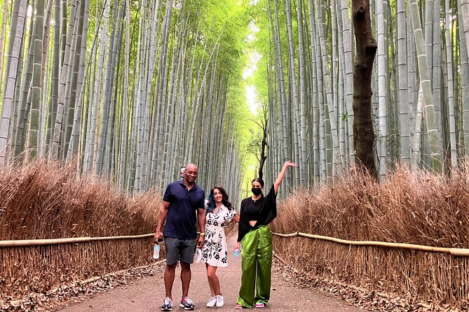 Kyoto 8hr Private Tour with Government-Licensed Guide - Price and value: what $201.46 buys you