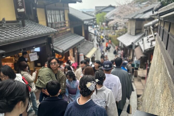 Kyoto Adventures Private English Tour With Hotel Pick Up - Private Kyoto by car: what you gain over trains and buses