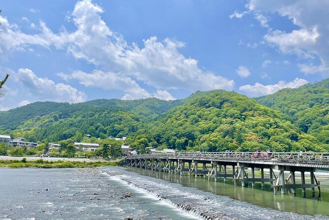 Kyoto and Nara Day Tour from Kyoto - Nara Park and the Todai-ji Chumon area: deer + a major temple gate