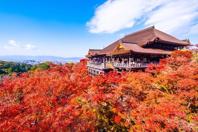 Kyoto and Nara Private Car Tour with a Local English Guide Driver - The pace you should expect in a 10-hour Kyoto-to-Nara day