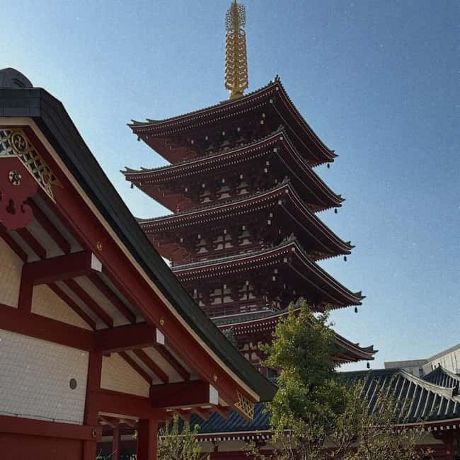 Kyoto and Nara: Private Customized Tour with Guide & vehicle - Key things I’d watch for on this tour