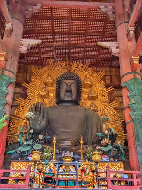 Kyoto and Nara: Private Customized Tour with Guide & vehicle - How Fushimi Inari sets the tone (and how to do it right)