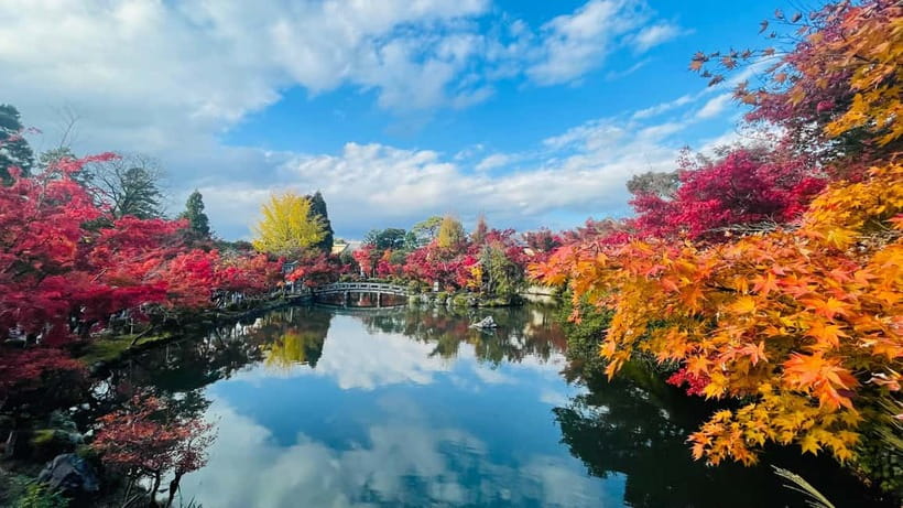Kyoto and Nara: Private Customized Tour with Guide & vehicle - The guide experience: the biggest variable in a private day