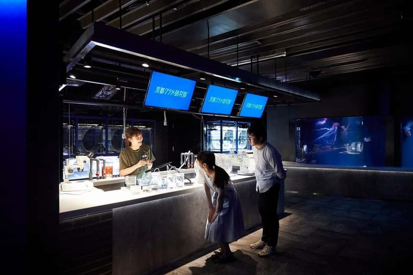 Kyoto Aquarium Admission Ticket - Getting smarter on-site: talk to the breeding staff