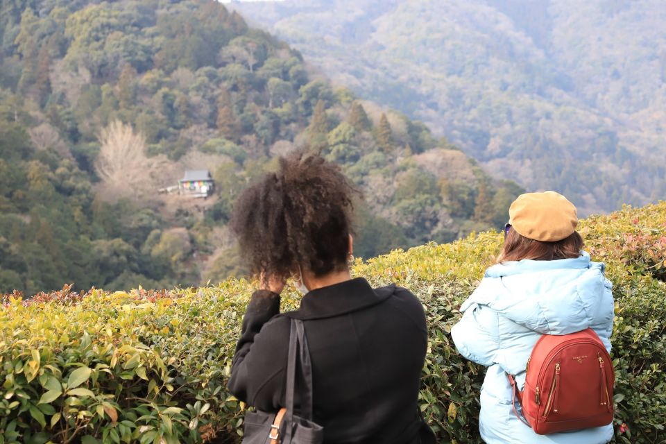 Kyoto Arashiyama Bamboo Forest Customized Private Tour - Monkey Park and the “walk-and-view” rhythm