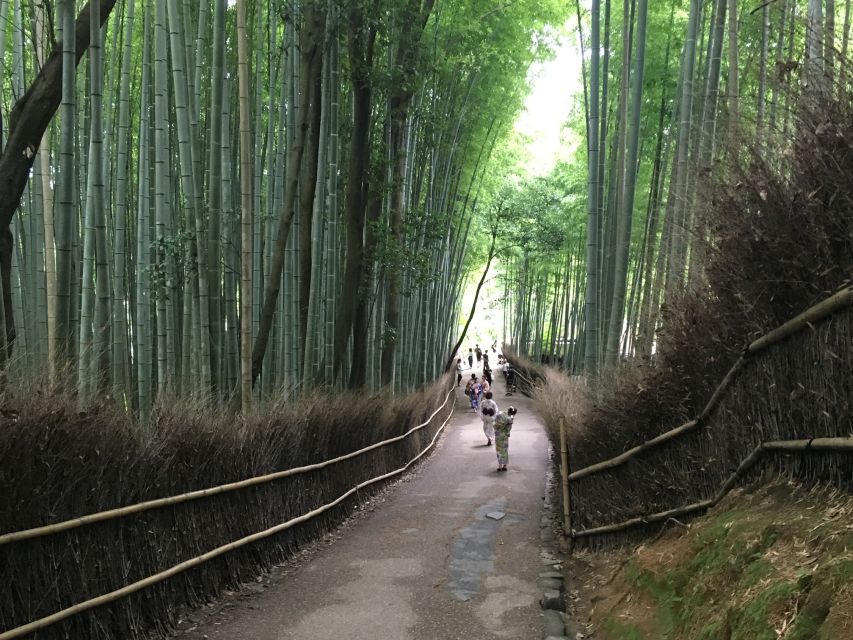 Kyoto Arashiyama Bamboo Forest Customized Private Tour - Walking logistics: what “moderate walking” means on the ground