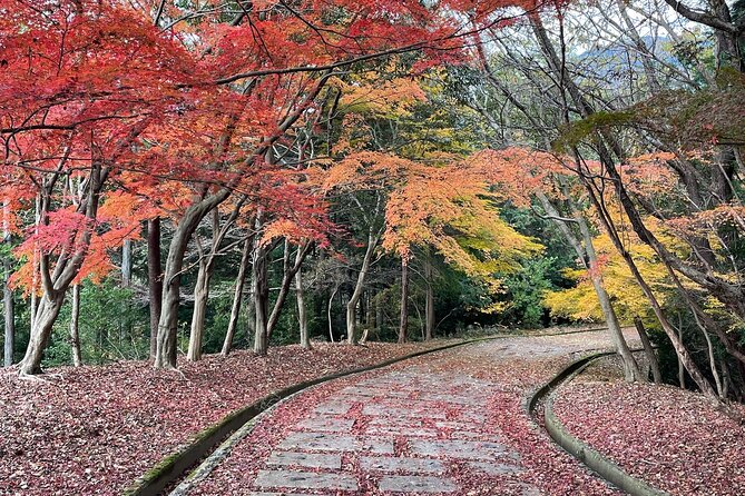 Kyoto Arashiyama Bamboo Forest Hiking Tour(Hidden Temples) - The 3-Hour Game Plan: Bamboo, Hill Views, and 8,000 Statues