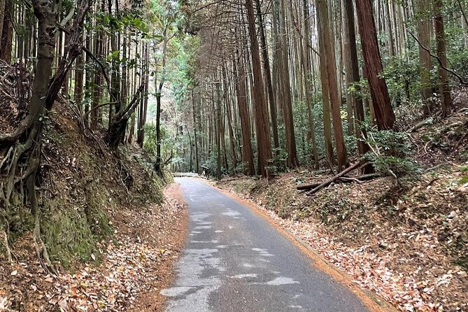 Kyoto Arashiyama Bamboo Forest Hiking Tour(Hidden Temples) - The Hill Climb: Real Hiking, Good Views, Bring the Right Stuff