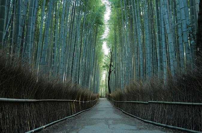 Kyoto Arashiyama Bamboo Forest Hiking Tour(Hidden Temples) - Adashino Nenbutsu-ji: 8,000 Statues and a Calmer Contrast