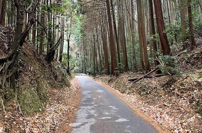 Kyoto Arashiyama Bamboo Forest Hiking Tour(Hidden Temples) - Value Check: Why This $52.71 Tour Can Be Worth It