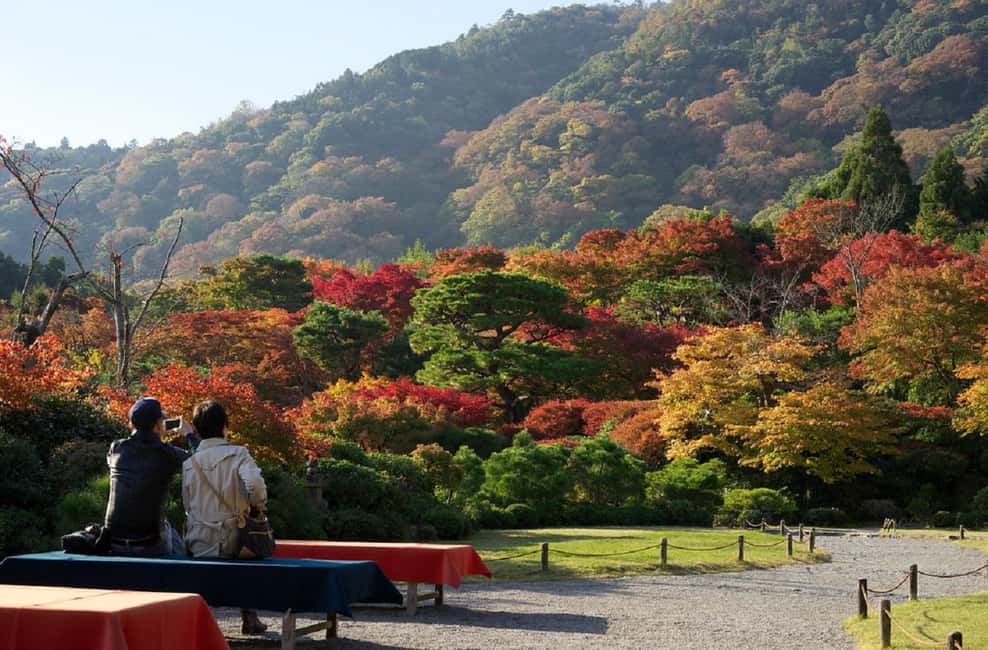 Kyoto: Arashiyama Bamboo, Togetsukyo bridge, Sanso, and more - Sagano Bamboo Forest: The Walk That Sets the Mood