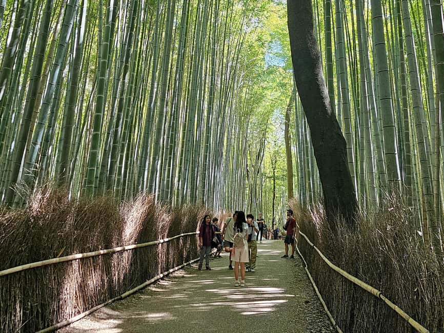 Kyoto: Arashiyama Bamboo, Togetsukyo bridge, Sanso, and more - Tenryuji Temple Zen Garden: Calm With a Purpose