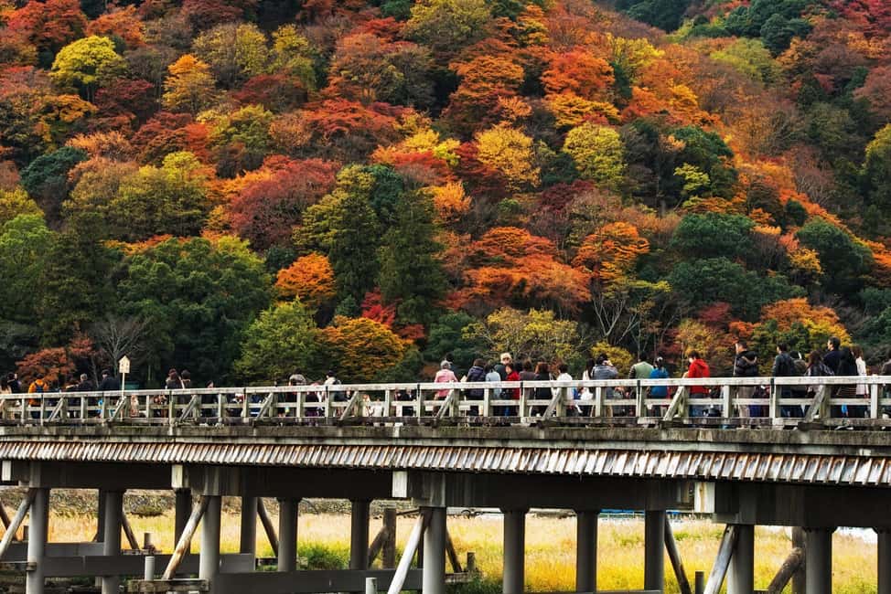 Kyoto: Arashiyama Bamboo, Togetsukyo bridge, Sanso, and more - Kimono Forest Illuminations: Modern Color in Old Kyoto