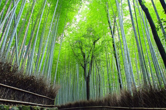 Kyoto: Arashiyama Early Access Bamboo & Temple Tour - Practical tips for a smoother Arashiyama walk