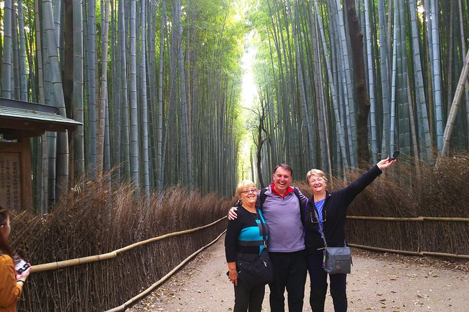 Kyoto Arashiyama & Golden Pavilion One-Day Walking Tour - Bamboo Forest Street + Tenryu-ji: serenity you can actually feel