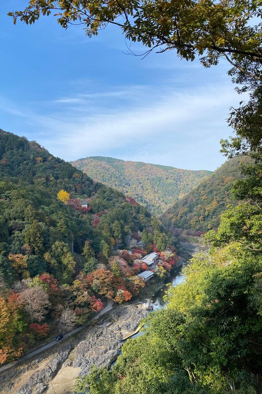Kyoto: Arashiyama Guided Tour, Bamboo, Monkey, Zen Temple - Arashiyama in 3 Hours: Bamboo, Tenryu-ji, and Monkey Park