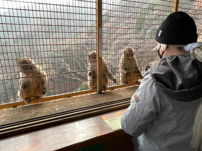 Kyoto: Arashiyama Guided Tour, Bamboo, Monkey, Zen Temple - The Arashiyama Bamboo Forest Path: More Than a Photo Line