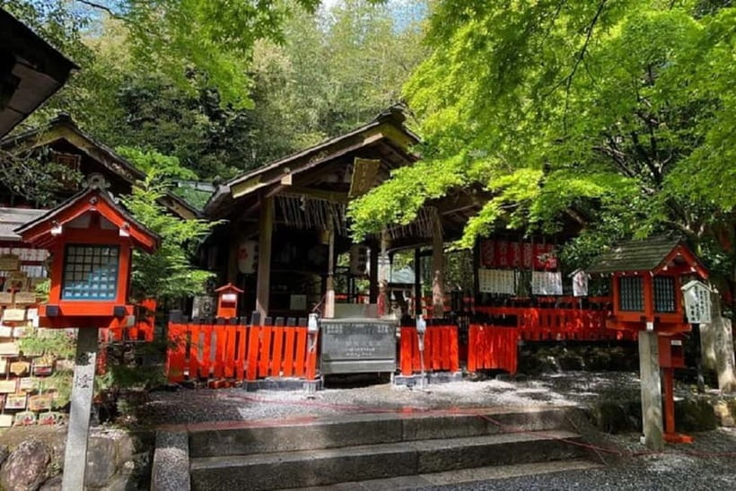 Kyoto: Arashiyama Guided Tour, Bamboo, Monkey, Zen Temple - Practical Tips That Make the Day Smoother