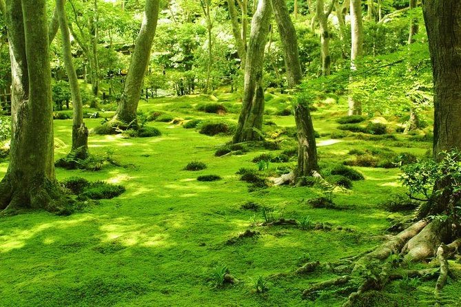 Kyoto Arashiyama & Sagano Bamboo Private Tour with Government-Licensed Guide - Stop-by-stop: build your best Arashiyama and Sagano mix