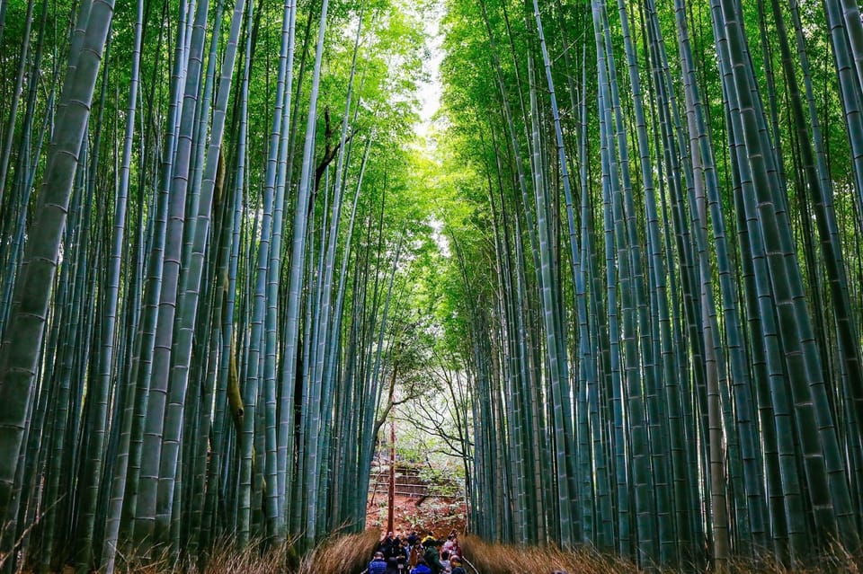 Kyoto: Arashiyama Tour with optional Sagano Romantic Train - Key Things I’d Bet My Camera On