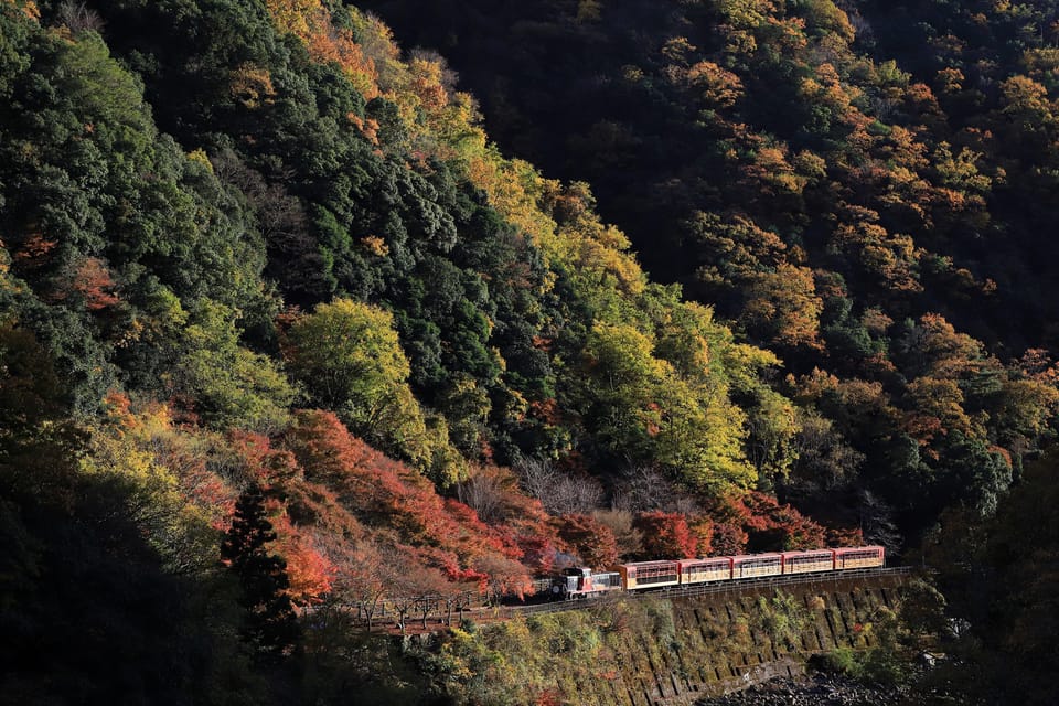 Kyoto: Arashiyama Tour with optional Sagano Romantic Train - Why Arashiyama Works as a Half-Day