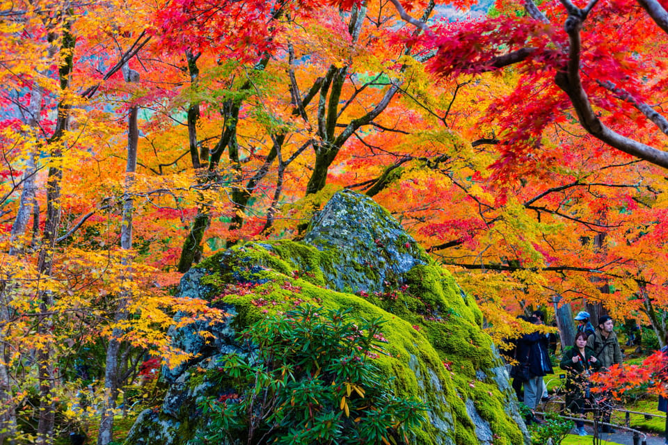 Kyoto: Arashiyama Tour with optional Sagano Romantic Train - Mikami Shrine: The God of Hair, Explained Simply