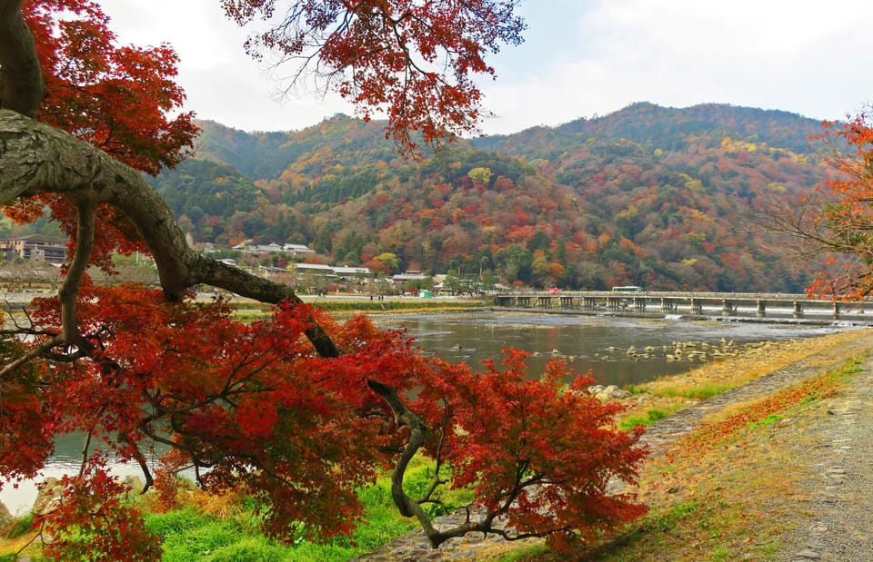 Kyoto: Arashiyama Tour with optional Sagano Romantic Train - Arashiyama Bamboo Forest: What You Actually Do There