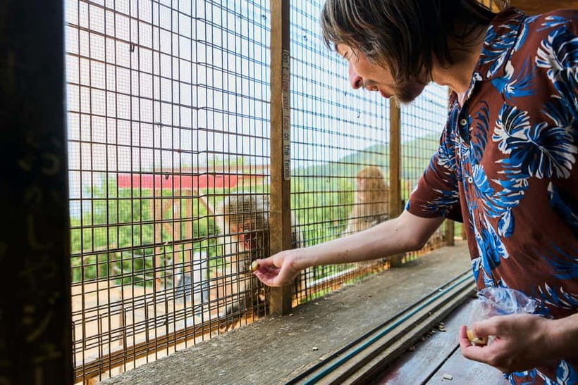 Kyoto: Arashiyama UNESCO Walking Tour with Admission - Iwatayama Monkey Park: Optional Hiking, Not a Guaranteed Admission