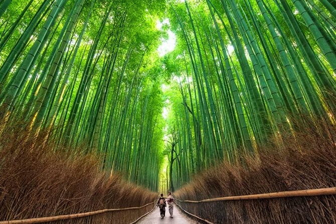 Kyoto: Arashiyama Walking Tour – UNESCO World Heritage - Key reasons this Arashiyama walking tour works