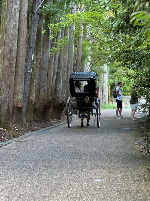 Kyoto: Avoid the Crowds at the Hidden Gems of Arashiyama - Bamboo Forest Photo Stop: Iconic, But Planned for Real Life