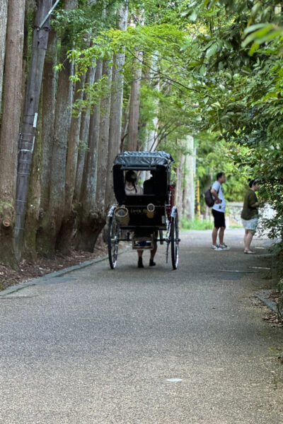 Kyoto: Avoid the Crowds at the Hidden Gems of Arashiyama - Togetsu Bridge and the Arashiyama Park Observatory Views