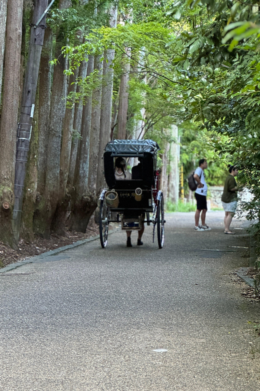 Kyoto: Avoid the Crowds at the Hidden Gems of Arashiyama - Togetsu Bridge and the Arashiyama Park Observatory Views