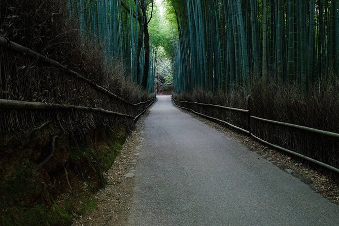 Kyoto Bamboo Forest & Golden Pavilion E-Bike Tour - Arashiyama Bamboo Forest Trail: tall trunks, easy viewing time
