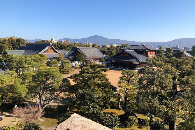 Kyoto Bamboo Forest & Golden Pavilion E-Bike Tour - Who this Kyoto e-bike tour fits best